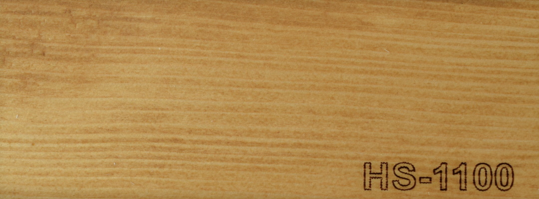 HS-1100